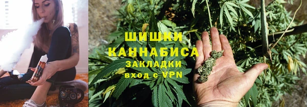 не бодяженный Иннополис