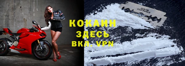прущий лед Инсар